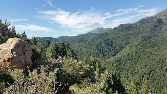 Camp Koholowo Picture 10