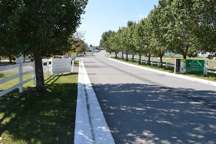 Weatherly Estates Picture 10