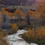 Spanish Fork River Park