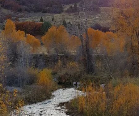 Spanish Fork River Park