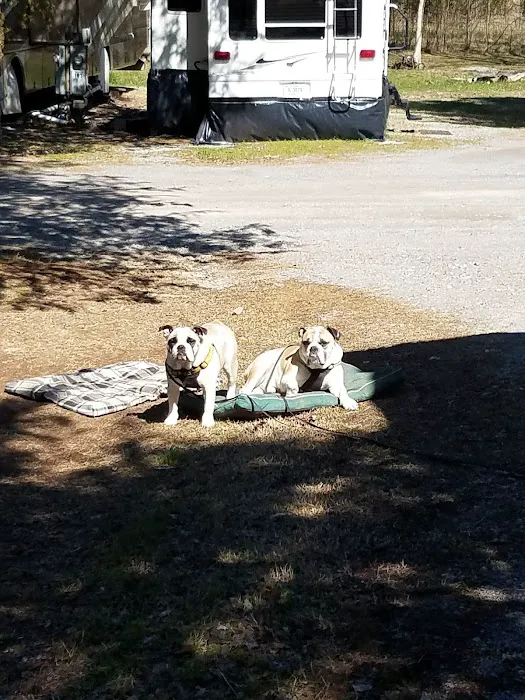 Cedar Groves RV Resort Picture 4