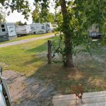 Cedar Groves RV Resort