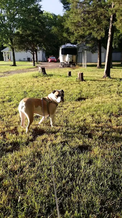 Cedar Groves RV Resort Picture 9