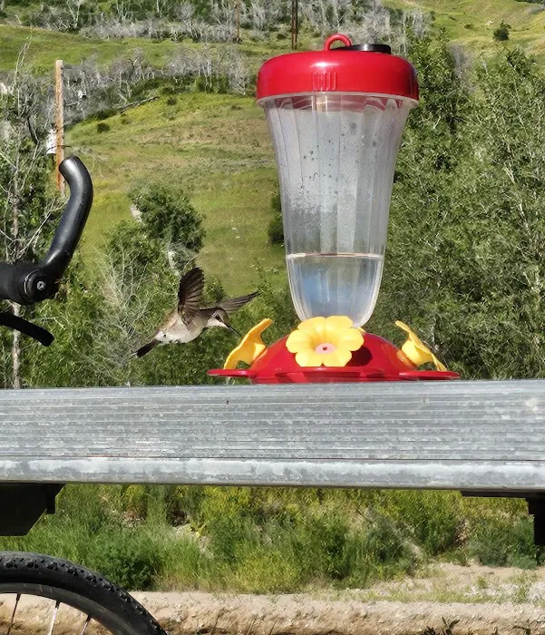 Spanish Fork River Park Campground Picture 2