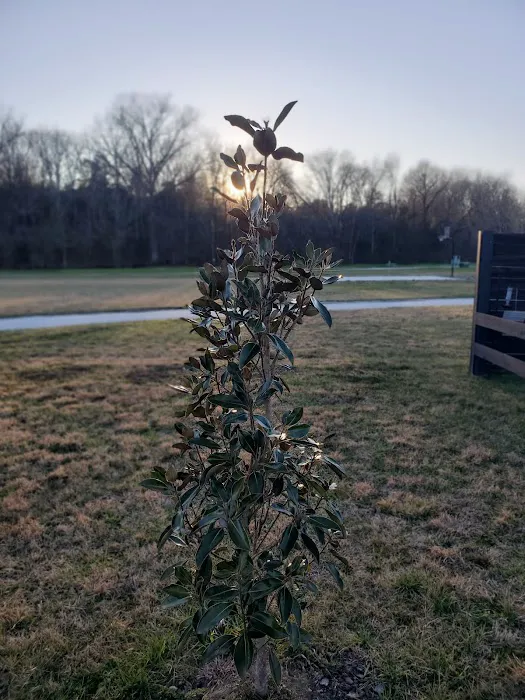 Short Creek RV Resort Picture 2