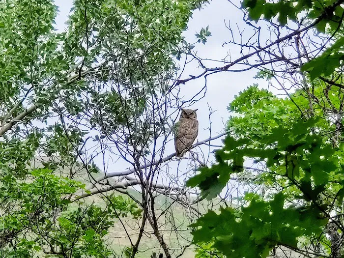 Diamond Fork Campgrounds Picture 8