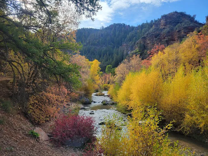 Diamond Fork Campgrounds Picture 10