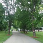 Joel's Mobile Home Park