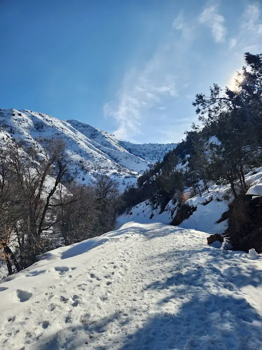 Three Forks Campground Picture 5