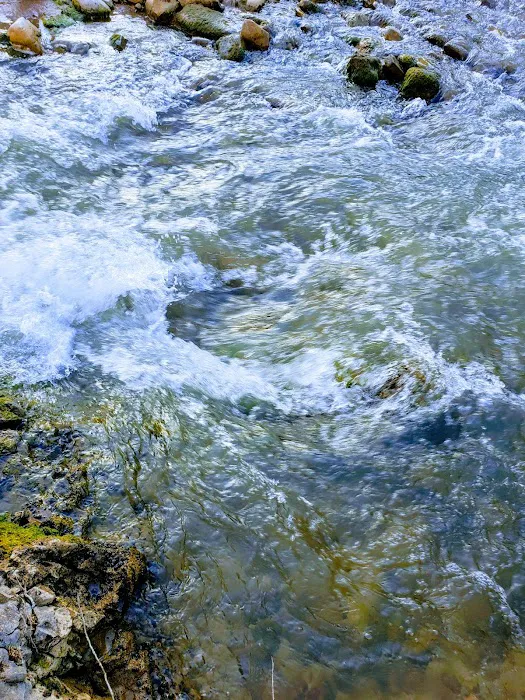 Three Forks Campground Picture 4