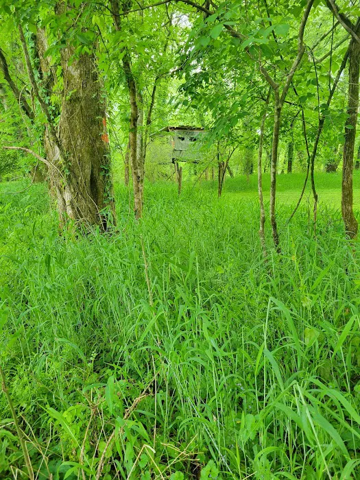 River Road RV Prk & Horse Cmp Picture 2