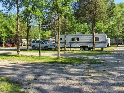 River Road RV Prk & Horse Cmp Picture 7