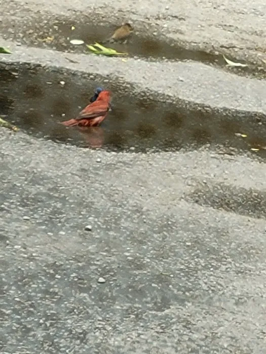 River Road RV Prk & Horse Cmp Picture 4