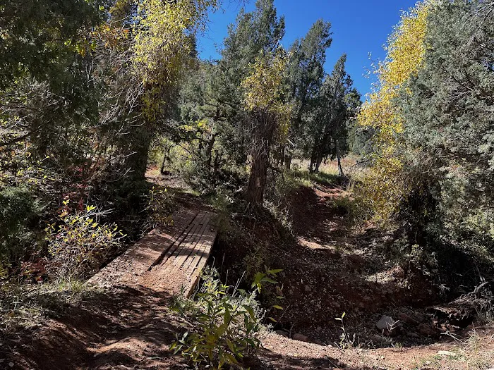 Sawmill Hollow Campground Picture 7