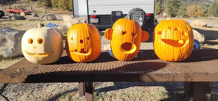 Sawmill Hollow Campground Picture 8