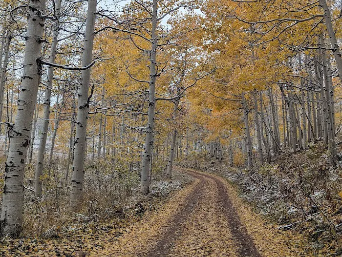 Mud Creek Camping Area Picture 8