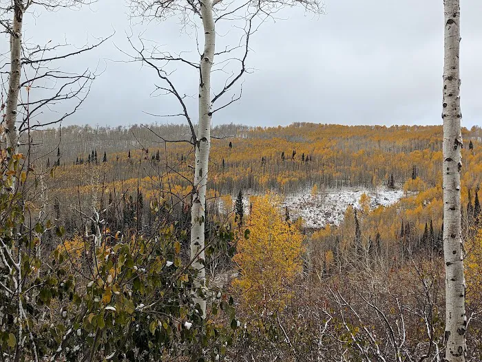 Mud Creek Camping Area Picture 2