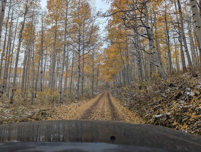 Mud Creek Camping Area Picture 3