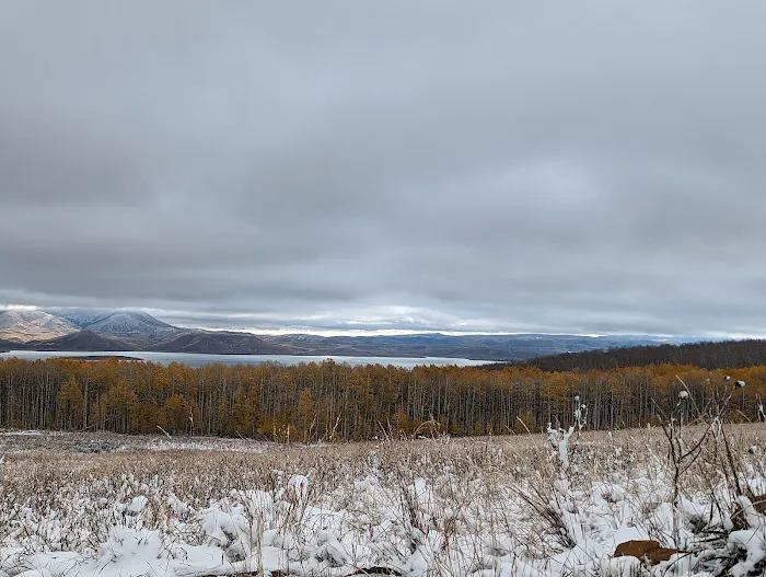 Mud Creek Camping Area Picture 4