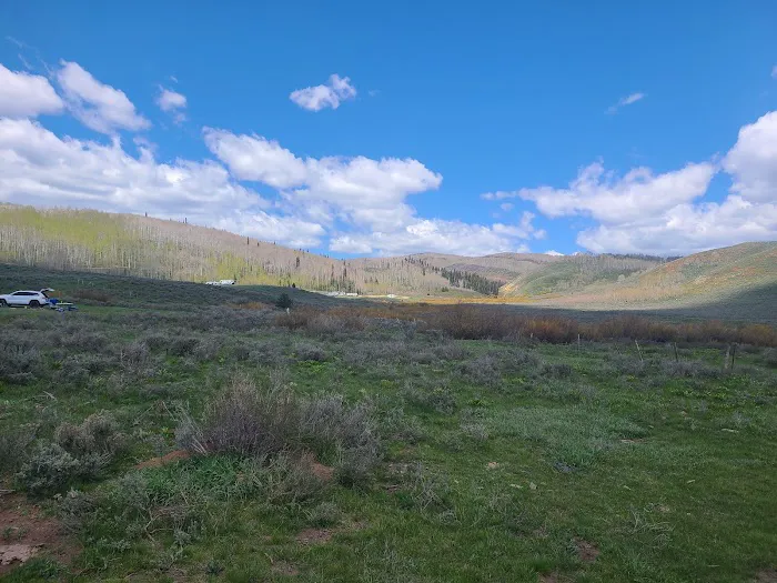 Mud Creek Camping Area Picture 10