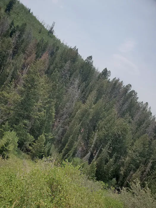 Strawberry Bay Group Campground Picture 8