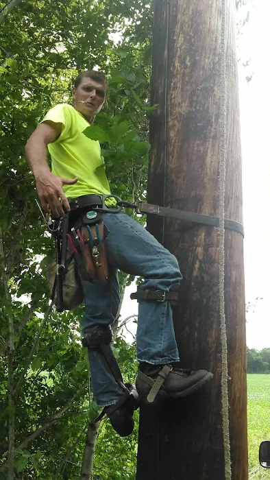 Lewisdale Grove Picture 3