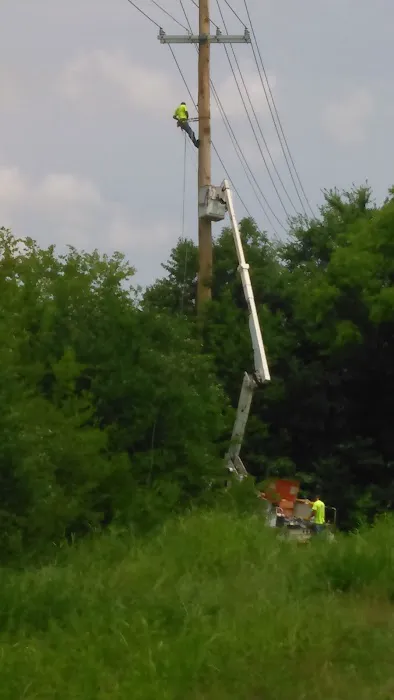 Lewisdale Grove Picture 2