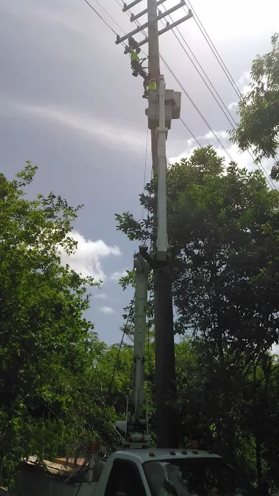 Lewisdale Grove Picture 4