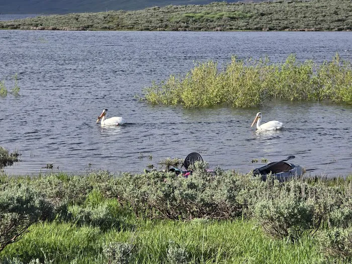 Strawberry Bay Campground Loop F Picture 10