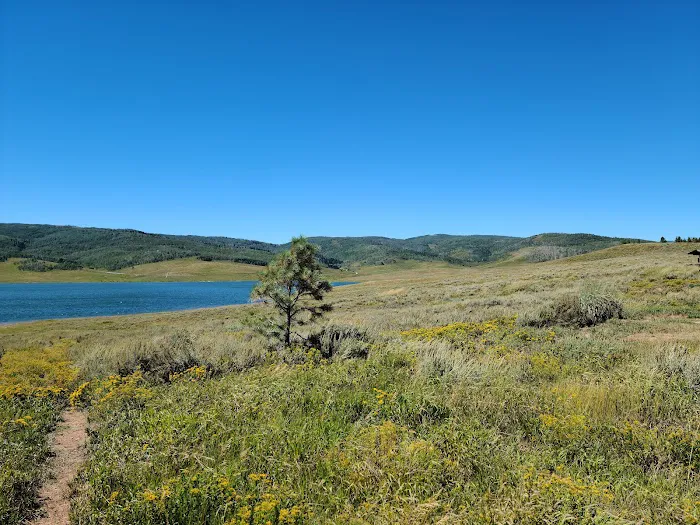 Strawberry Bay Campground Loop B Picture 10