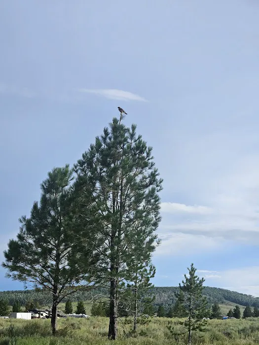 Strawberry Bay Campground Loop C Picture 8