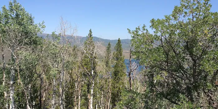 Currant Creek Campground Loop D Picture 5