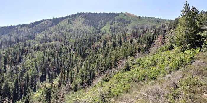 Currant Creek Campground Loop D Picture 3