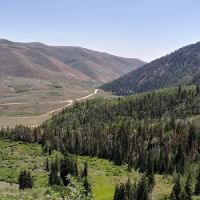 Currant Creek Campground Loop D ico