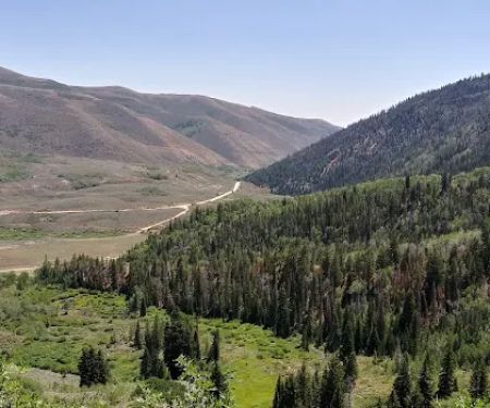 Currant Creek Campground Loop D