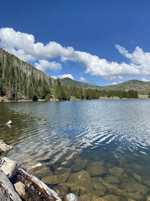Currant Creek Campground Loop D Picture 10