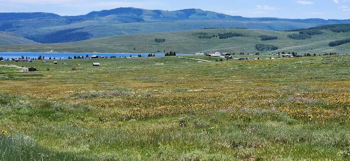 Strawberry Bay Campground Loop E Picture 5