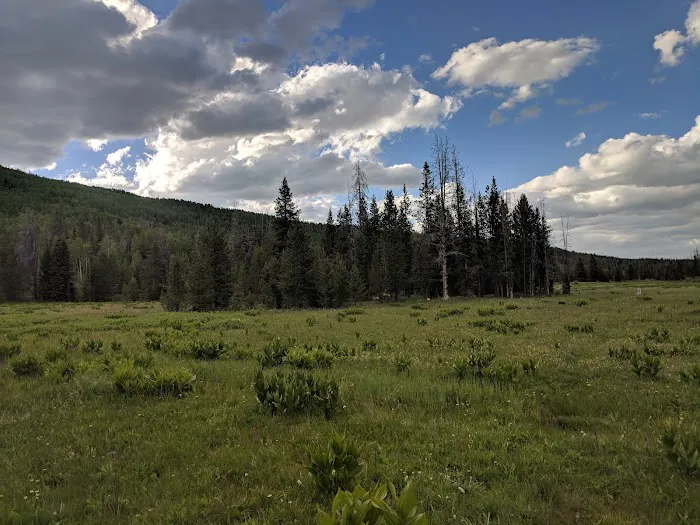 Sulphur Campground Picture 3