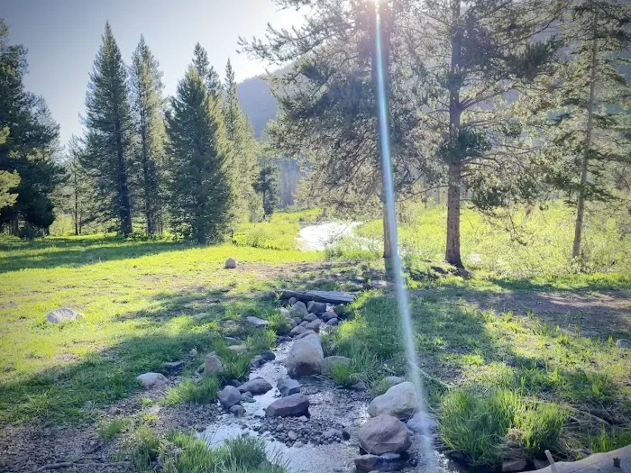 Sulphur Campground Picture 5