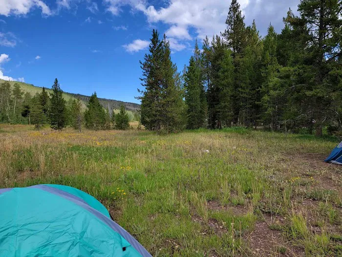 Sulphur Campground Picture 4