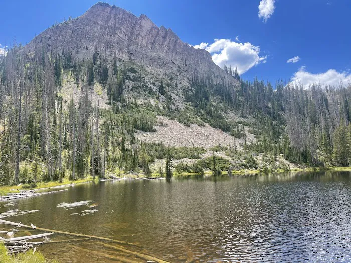 Sulphur Campground Picture 9