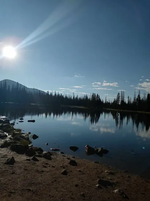 Sulphur Campground Picture 7