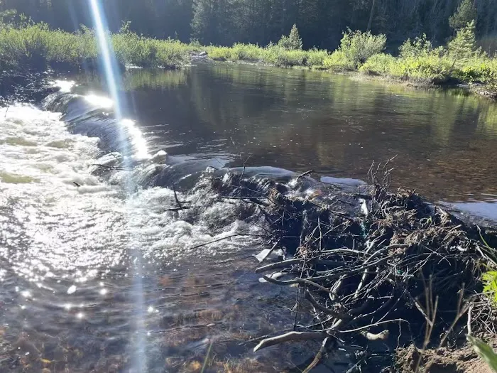 Sulphur Campground Picture 8