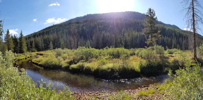 Sulphur Campground Picture 6