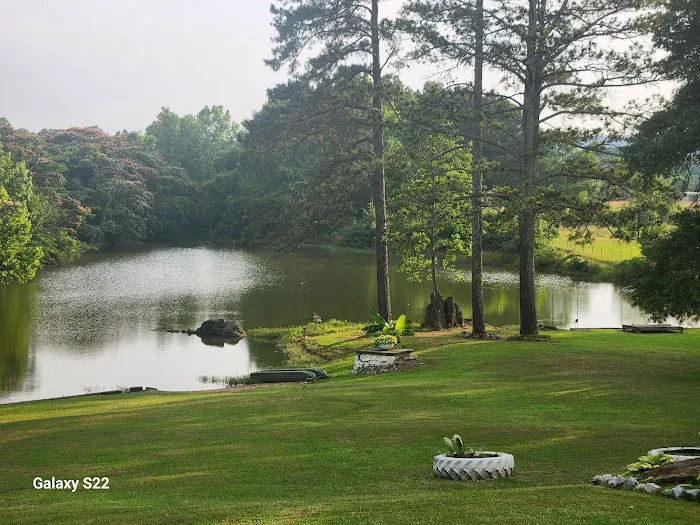 Joyland RV Park Picture 8