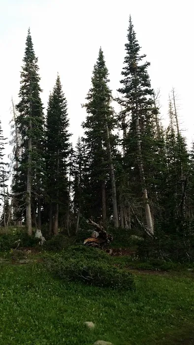 Sunrock High Adventure Base Picture 10