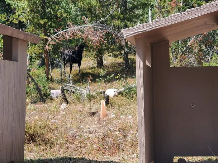 Beaver View Campground Picture 1