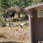 Beaver View Campground