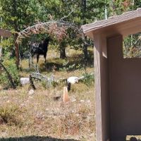 Beaver View Campground ico