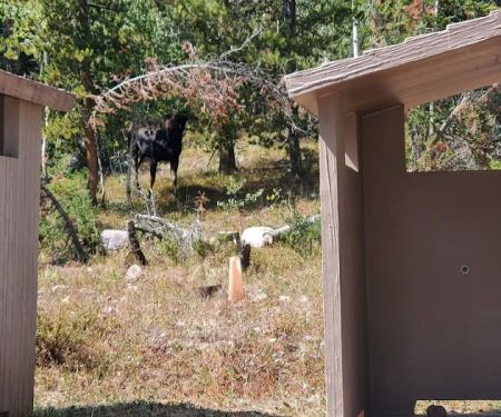 Beaver View Campground